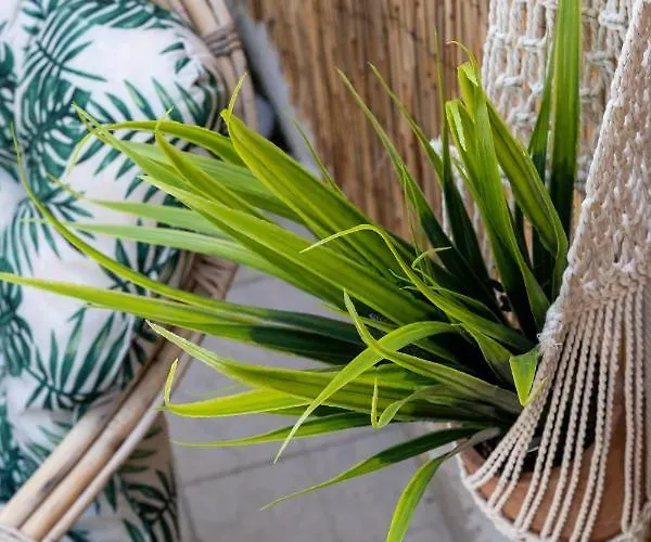 Apartament Villablu *